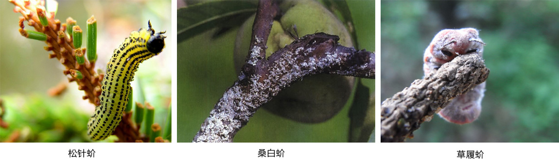 ch_05